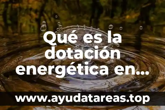 Que es un elemento de la bebida energetica 8 Qué es la dotación energética en alimento