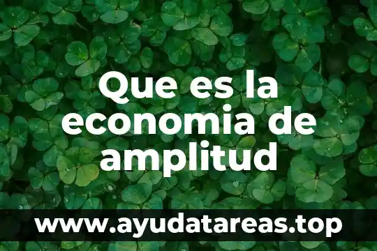 Qué es amplitud del espacio paletofemoral 3 Que es la economia de amplitud