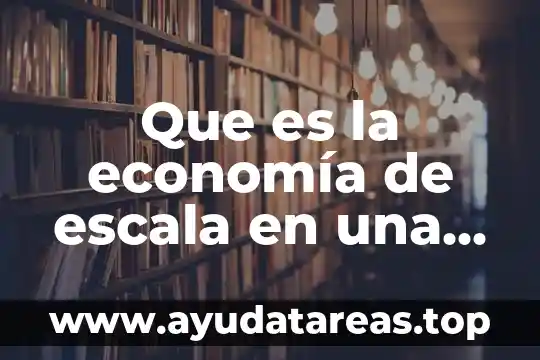 Que es la economía de escala en una red empresarial