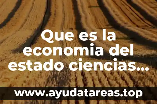 Que es la economia del estado ciencias y tecnologia