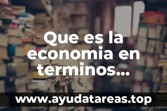 Que es la economia en terminos generales