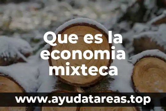 Diccionario de economia que es produccion 5 Que es la economia mixteca
