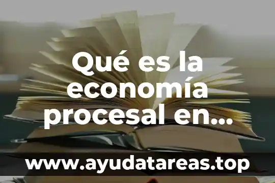Que es el principio de definitividad procesal 8 Qué es la economía procesal en materia penal