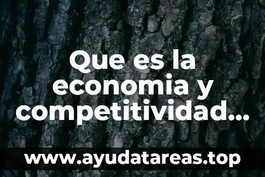 Que es la economia y competitividad de una empresa