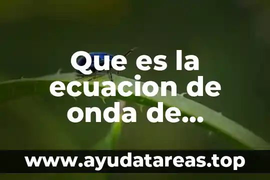 Que es agua de hidratacion en quimica 3 Que es la ecuacion de onda de schrodinger quimica