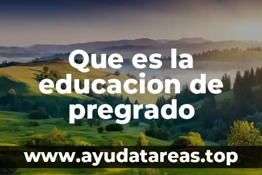 Que es la educacion de pregrado