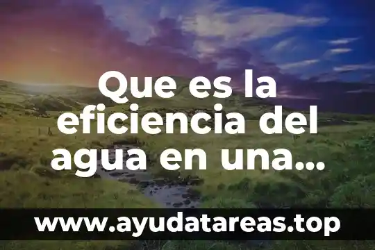 El agua de la superficie que es 3 Que es la eficiencia del agua en una construcción