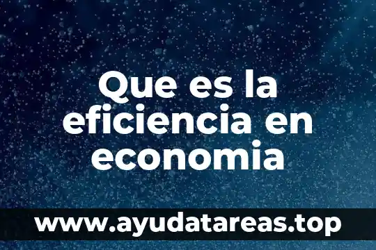 Qué es el principio de economía de movimientos 3 Que es la eficiencia en economia