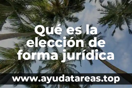 Qué es la elección de forma jurídica