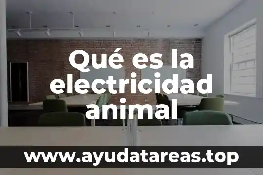 Que es el mundo animal 6 Qué es la electricidad animal