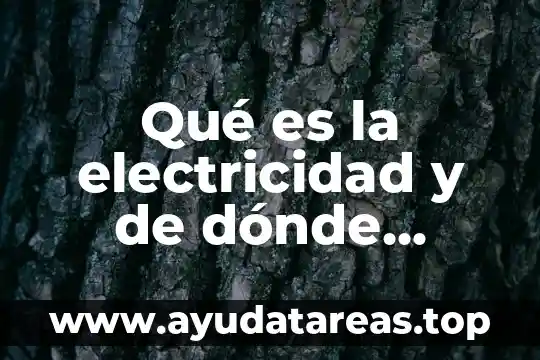 Que es el voleibol y de donde proviene el concepto 4 Qué es la electricidad y de dónde proviene