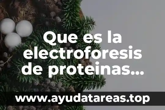Qué es la proteínas tipos de alimentos provienen 4 Que es la electroforesis de proteinas en acetato de celulosa