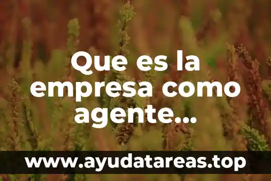 Que es la empresa como agente economico