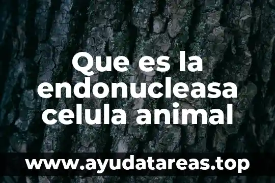 Qué es lisosomas de la célula animal 5 Que es la endonucleasa celula animal