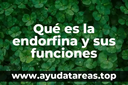 Qué es la endorfina y sus funciones