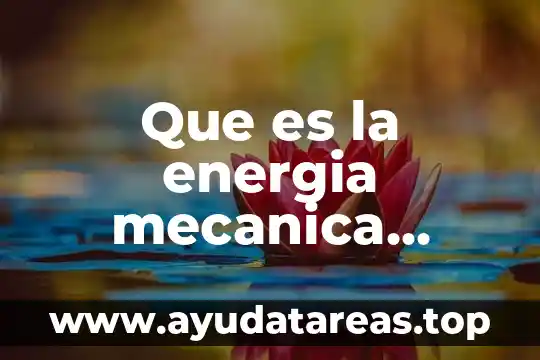 Que es el agua negra ecologia 3 Que es la energia mecanica ecologia