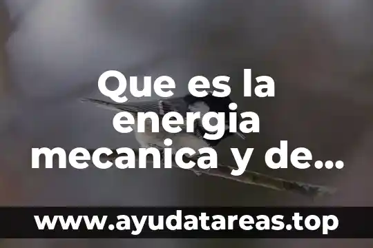 Que es el voleibol y de donde proviene el concepto 7 Que es la energia mecanica y de donde proviene