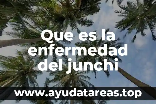 Que es la enfermedad del junchi
