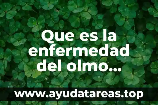Que es la enfermedad del olmo holandes