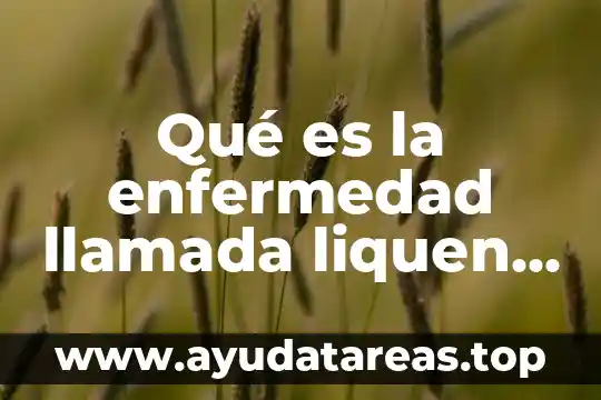 ¿Qué es un desarmador plano y de cruz? 3 Qué es la enfermedad llamada liquen plano