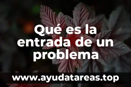 Qué es la entrada de un problema