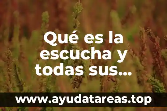 Que es autoconcepto y sus caracteristicas 7 Qué es la escucha y todas sus características
