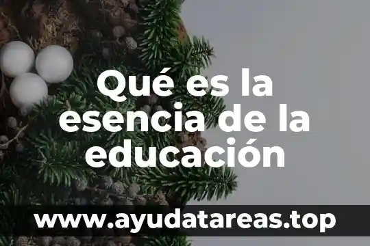 Qué es la esencia de la educación