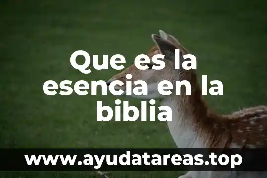 Qué es la Biblia en francés 3 Que es la esencia en la biblia