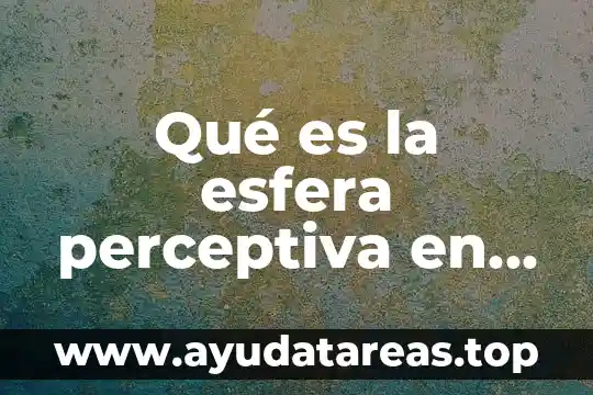 Qué es una señal comunicación 6 Qué es la esfera perceptiva en comunicación