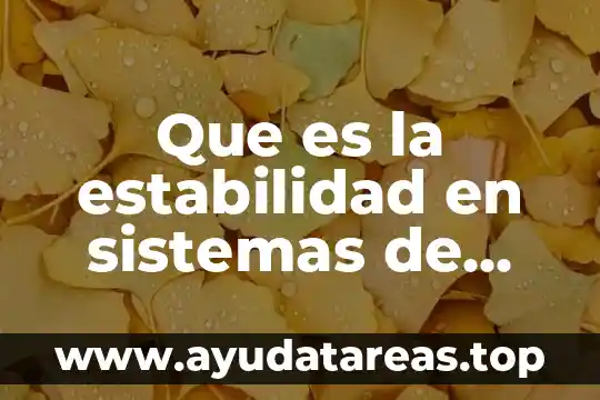 Qué es la estabilidad intacta definición 4 Que es la estabilidad en sistemas de control