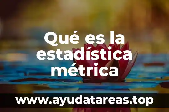 Qué es la estadística métrica