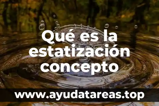 Qué es la estatización concepto