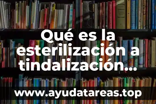 Que es la axiología en enfermeria 7 Qué es la esterilización a tindalización enfermeria