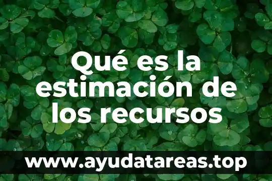 Estimación 5 Qué es la estimación de los recursos