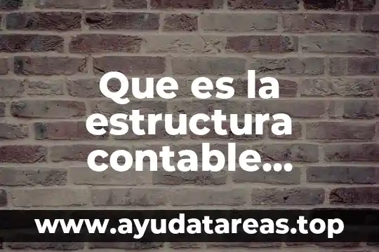 Que es la estructura contable basica