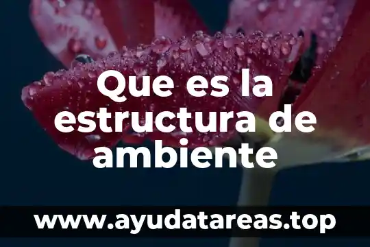 Que es el ambiente de trabajo atractivo 6 Que es la estructura de ambiente