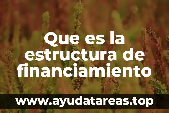 Que es la estructura y sus caracteristicas del sol 8 Que es la estructura de financiamiento