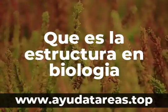 Que es la estructura y sus caracteristicas del sol 5 Que es la estructura en biologia