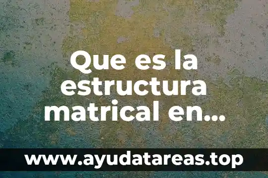 Que es la estructura matrical en negocios