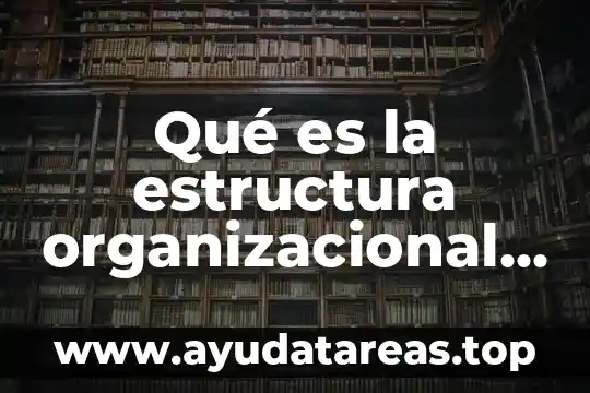 Qué es un organigrama funcional y como realizarlo 8 Qué es la estructura organizacional y organigrama diferencias