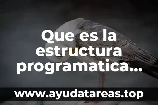 Que es una estructura relacional 3 Que es la estructura programatica presupuestaria