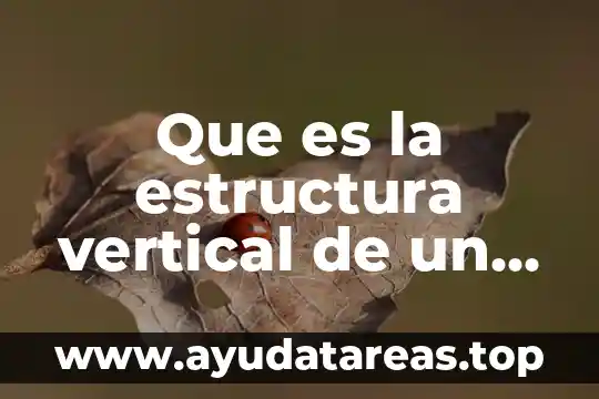 Qué es flujo de energía en el ecosistema 6 Que es la estructura vertical de un ecosistema