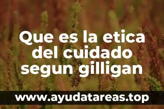 Que es la etica del cuidado segun gilligan