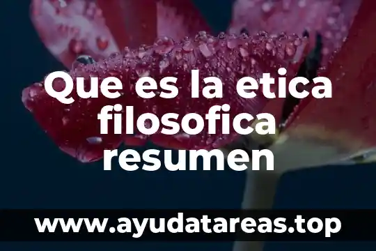 Que es el derecho definicion filosofica 6 Que es la etica filosofica resumen