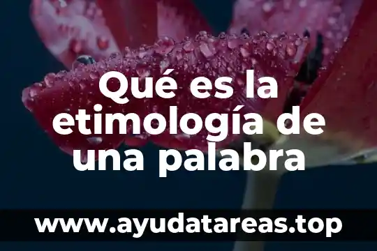 Qué es la etimología de las palabras 3 Qué es la etimología de una palabra