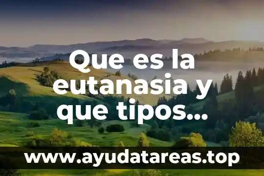 Que es una empresa tipos y clasificacion 7 Que es la eutanasia y que tipos existen
