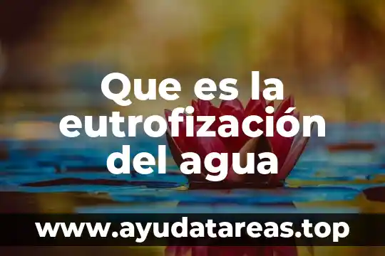 Que es la eutrofización del agua