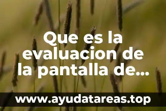 Que es la pantalla negra de la muerte celular 7 Que es la evaluacion de la pantalla de riv