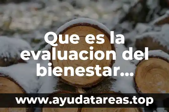 Que es belleza color y bienestar en las culturas 8 Que es la evaluacion del bienestar social