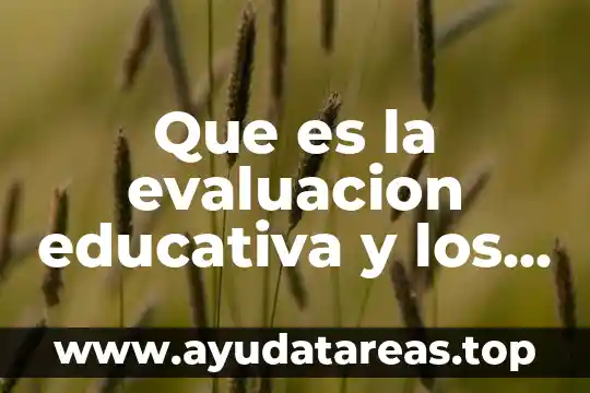 Que es la evaluacion educativa y los tipos de evaluacion